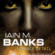 Illustration for article titled Read the first chapter of Iain M. Banks new Culture novel, Surface Detail